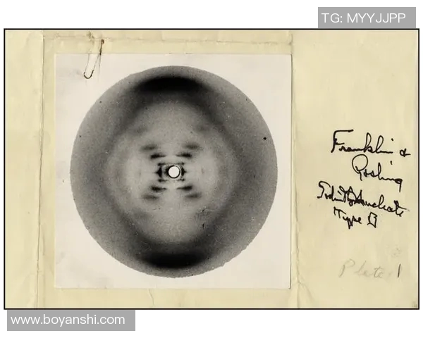 富兰克林的智慧与人生哲学探索：从科学到政治的多重影响与启示